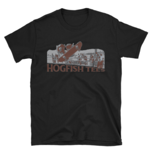 mockup e6b92f2e.png