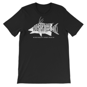 mockup ebc52bb0.png